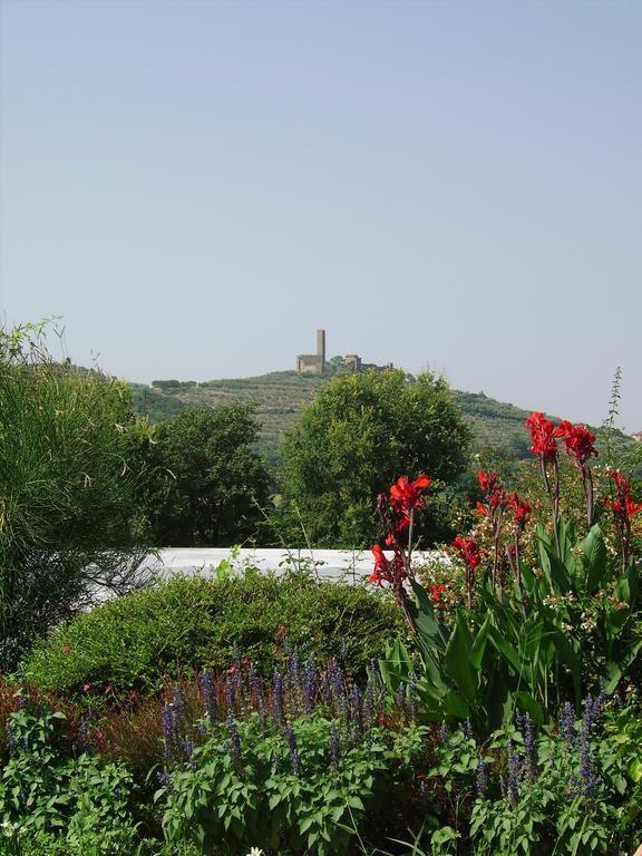Il Belvedere Di Roccavo Willa Castiglion Fiorentino Zewnętrze zdjęcie