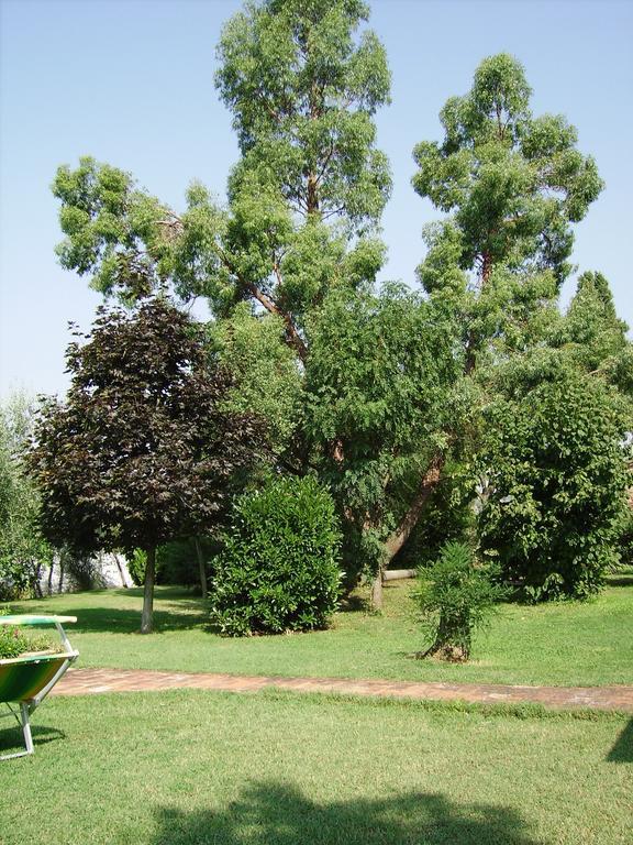 Il Belvedere Di Roccavo Willa Castiglion Fiorentino Zewnętrze zdjęcie