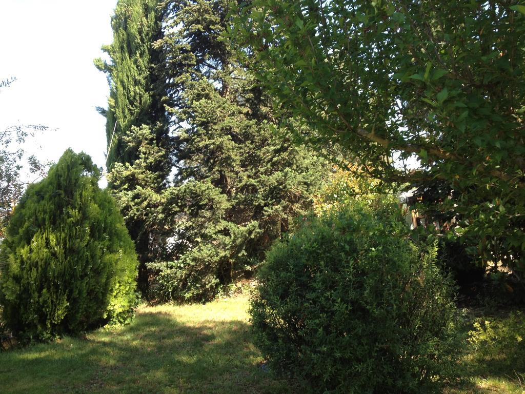 Il Belvedere Di Roccavo Willa Castiglion Fiorentino Zewnętrze zdjęcie